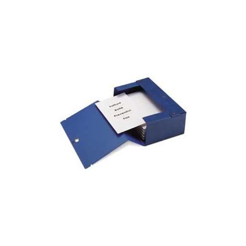 scatola archivio big 120 250x350mm blu c / maniglia - Foto 1