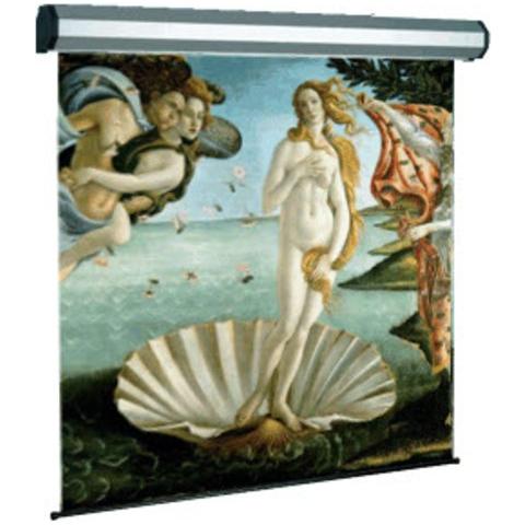 Electric Professional - Schermo per proiezione - motorizzato - 134  - Foto 2