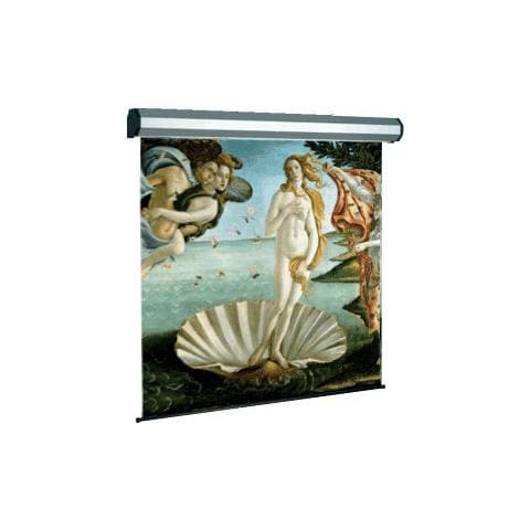 Electric Professional - Schermo per proiezione - motorizzato - 134  - Foto 1