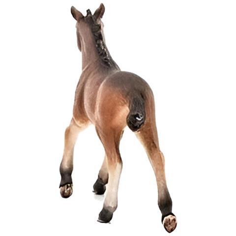 Figurina Puledro Mustang, Marrone - Foto 5