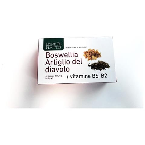 Boswellia Artiglio Diavolo Vitamine B2 B6 B9 60 Capsule - Foto 1