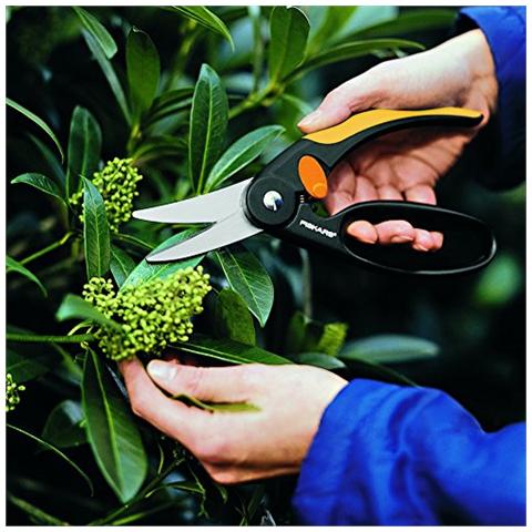 Forbici Elegance - Foto 2