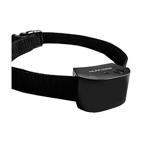 Num' Assi Collana Unico Canifugue Piccolo Cane Gatto- - Foto 3