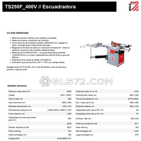 Banco Sega Squadratrice Per Legno Holzmann Ts250f 400v - Foto 2