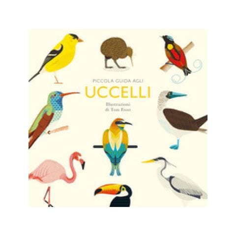 Alison Davies - Piccola Guida Agli Uccelli. Ediz. Illustrata - Foto 1