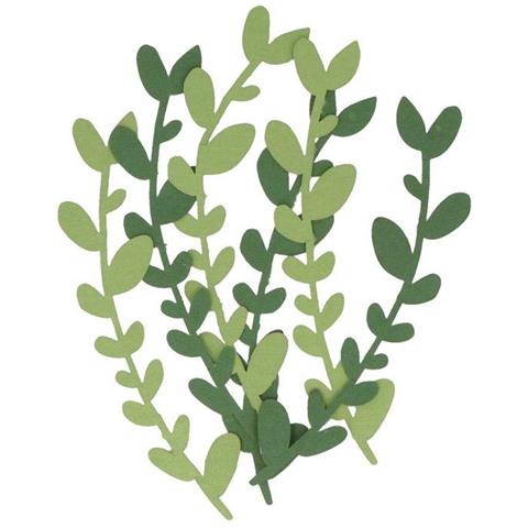 6 Fogli Di Carta Salvia Alpina - Foto 1