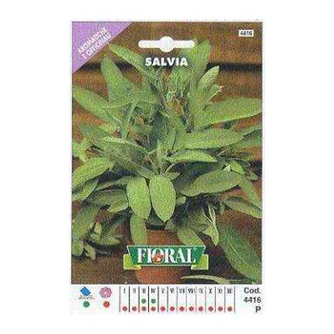 Salvia - Busta Sementi Aromatica - Foto 1