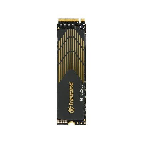 SSD 1 TB Serie 250S M.2 " Interfaccia PCI Express 4.0 - Foto 1