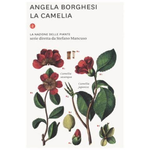 Angela Borghesi - La Camelia. La Nazione Delle Piante - Foto 1