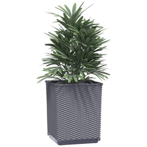 Fioriere 4 Pz Grigio Scuro 30x30x37 Cm In Polipropilene - Foto 2