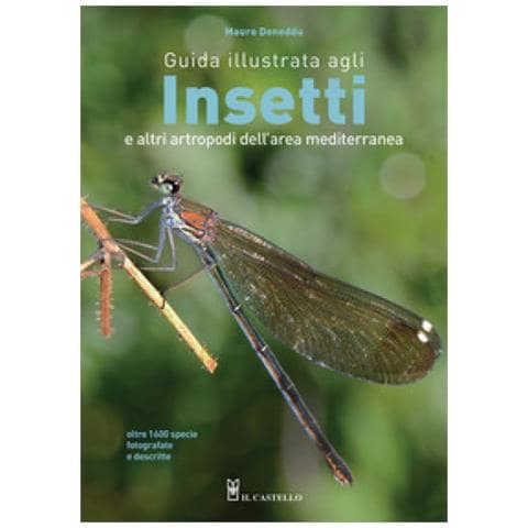 Mauro Doneddu - Guida Illustrata Agli Insetti E Altri Artropodi Dell'area Mediterranea. Ediz. Illustrata - Foto 1