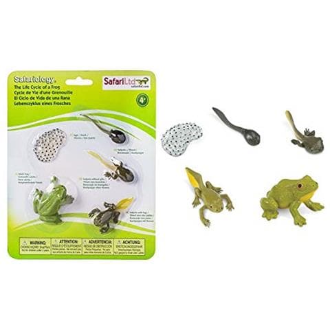 Safari Ltd Ciclo Di Vita Di Una Rana - Foto 1