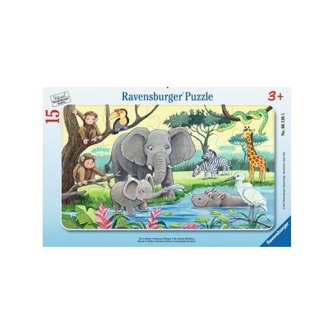 Tiere Afrikas (06136)  - Foto 1