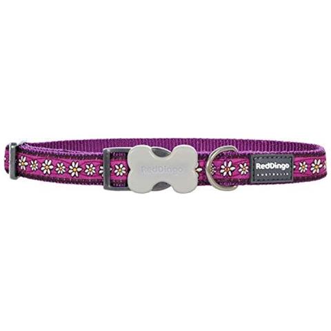 designer dog leads