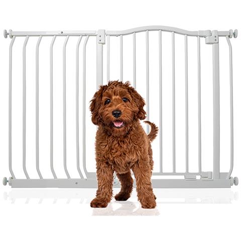 Bettacare Cancelletto Per Cani Con Parte Superiore Incurvata, 107cm - 116cm, Bianco Opaco - Foto 1