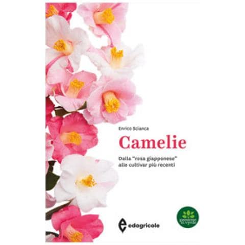 Enrico Scianca - Camelie. Dalla «rosa Giapponese» Alle Cultivar Più Recenti. Ediz. A Colori - Foto 1