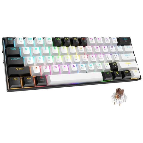 Tastiera Meccanica Rgb Bluetooth A 61 Tasti - Compatta, Portatile E Con Switch Tea Silenziosi - Foto 1