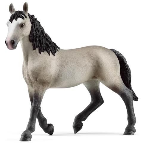 GIUMENTA CHEVAL DE SELLE FRANCAIS - Foto 2