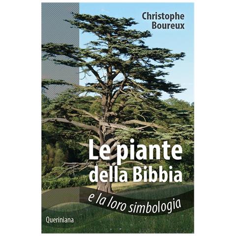 Christophe Boureux - Piante della Bibbia e la loro simbologia - Foto 1