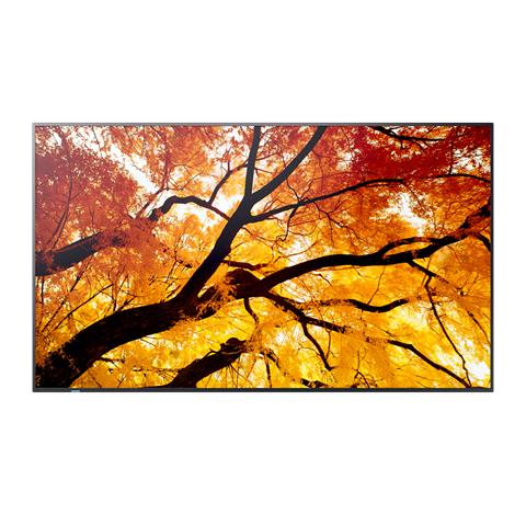 Pannello Interattivo 97.5" LED Flat MultiSync PN-M982 4K Ultra HD - Foto 1