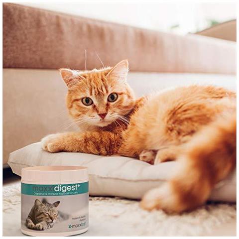 Maxxipaws Maxxidigest Apparato Digerente E Immunitario Supplemento Per Gatti Con Probiotici Prebiotici E Enzimi Digestivi - Powder 90 G - Foto 2