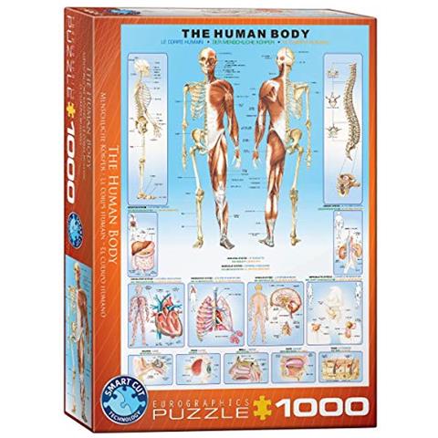 Puzzle Del Corpo Umano (1000 Pezzi) - Foto 1
