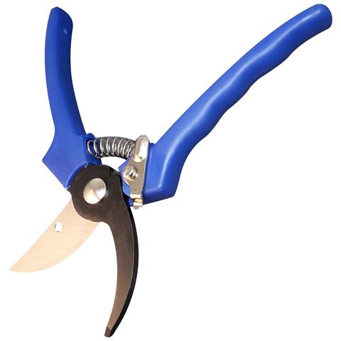 Forbice Da Pota In Acciaio Al Carbonio Due Buoi 149/22 Ab - Foto 1