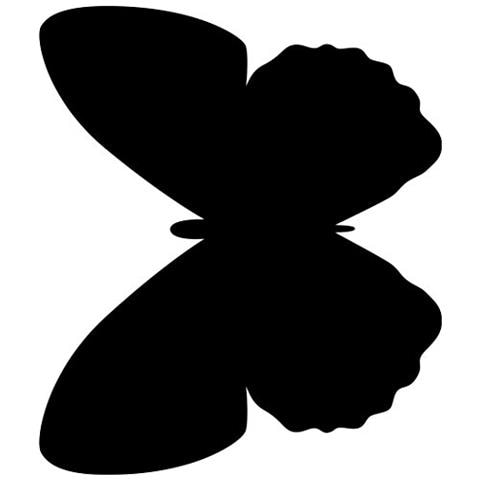 Lavagne Silhouette da parete - nero - max 53x31,1 cm - farfalla - FB-BUTTERFLY - Foto 1