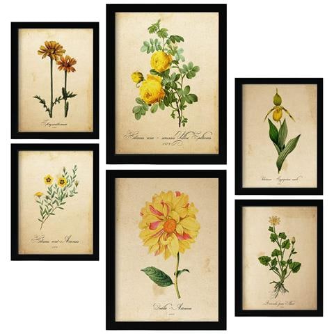 Set Di 6 Stampe Stampe A Colori Di Fiori Gialli, Natura E Botanica, Con Motivi Floreali In Stile Cartaceo Vintage, Design D'interni A3 & A4 Senza Cornice - Foto 1