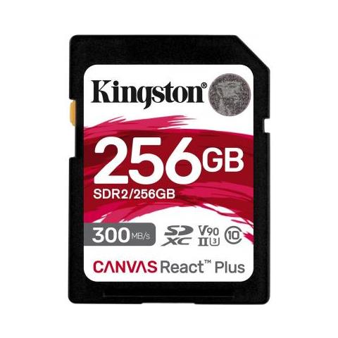 Canvas React Plus - Scheda di memoria flash - 256 GB - Video  - Foto 1
