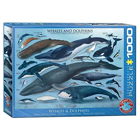 Puzzle Balene E Delfini (1000 Pezzi) - Foto 1