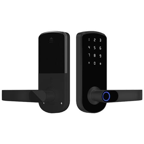 Serratura Intelligente Per Porta Con Impronta Digitale Tuya - Ttlock Bluetooth Biometrica Senza Chiave Per Casa, Appartamento, Hotel, Scuola Black - Foto 1