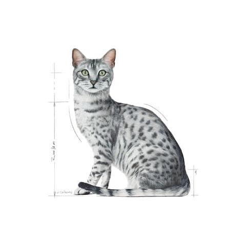 Feline Buste Ultra Light Loaf 12x85 Gr - Foto 3