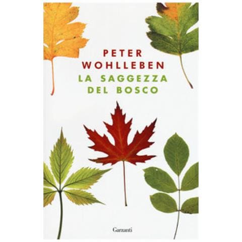 Peter Wohlleben - La saggezza del bosco - Foto 1