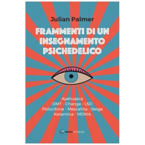 Julian Palmer - Frammenti Di Un Insegnamento Psichedelico - Foto 2