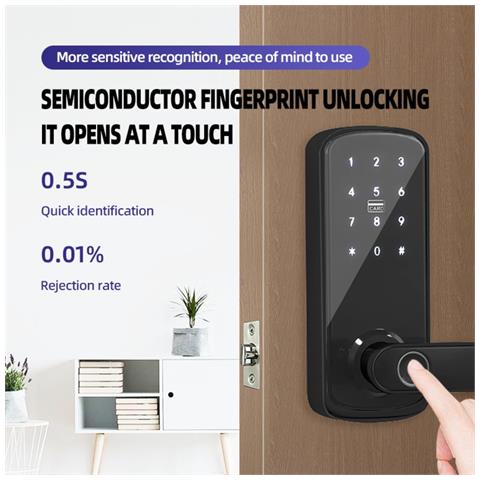 Serratura Intelligente A Singolo Chiavistello Con Password, Accesso Con Impronta Digitale Tuya Wifi Silver - Foto 2