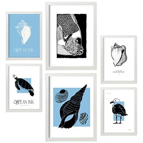 Set Di 6 Stampe Stampe Artistiche Di Conchiglie In Inchiostro Nero Raffiguranti Mare E Oceano Per L'interior Design A3 & A4 Cornice Bianca - Foto 1