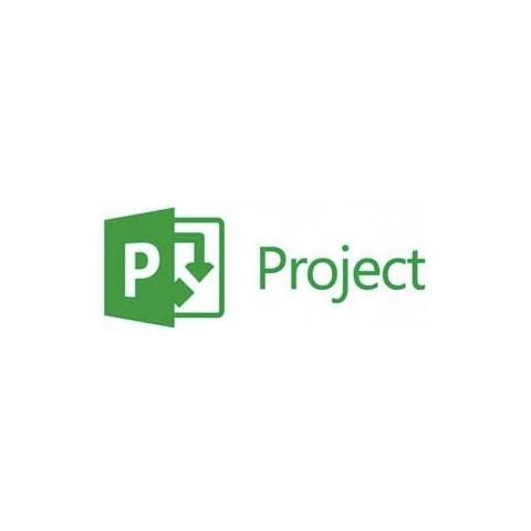 Licenza Project 2019 Professional 32/64 Bit ESD - Foto 2