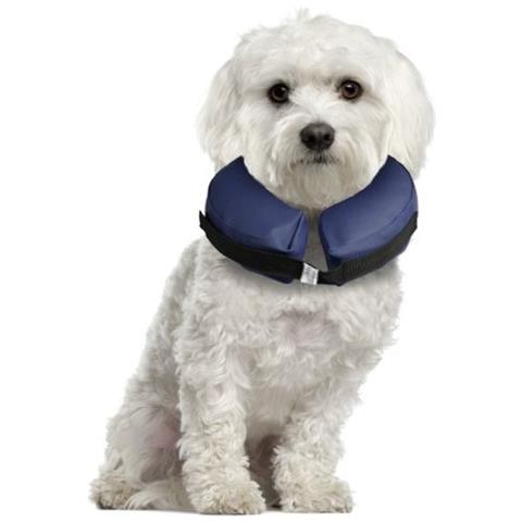 Collare Cane Gonfiabilel - Foto 1