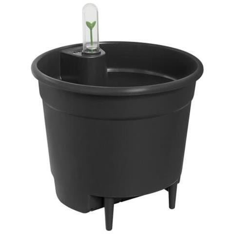 Inserto Autoirrigante 21 Living Black - Foto 1