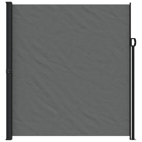 Tenda Da Sole Laterale Retrattile Antracite 220x300 Cm - Foto 3