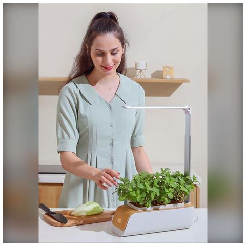 Macchina Per Piantare Idroponica Intelligente: Sistema Di Illuminazione Led Con Altezza Regolabile - Foto 2