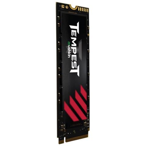 Tempest 256 GB M. 2 PCI Express 3.0 NVMe 3D NAND - Foto 2