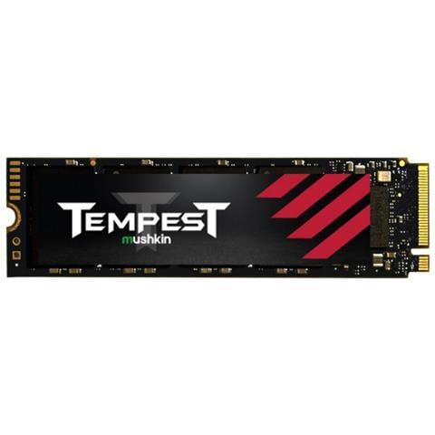 Tempest 256 GB M. 2 PCI Express 3.0 NVMe 3D NAND - Foto 1