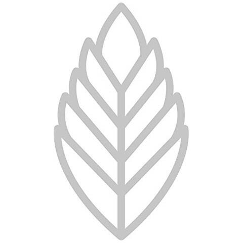 Fustelle Da Taglio - Foglia Tropicale 13,5 X 7,5 Cm - Foto 2