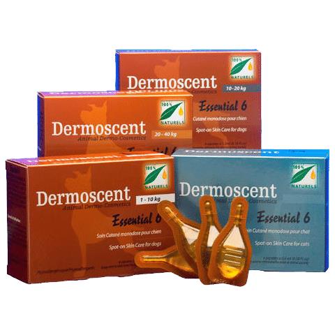 Essential 6 Spot On Cane 0/10 kg 4 Pipette 0,6 ml - Foto 1