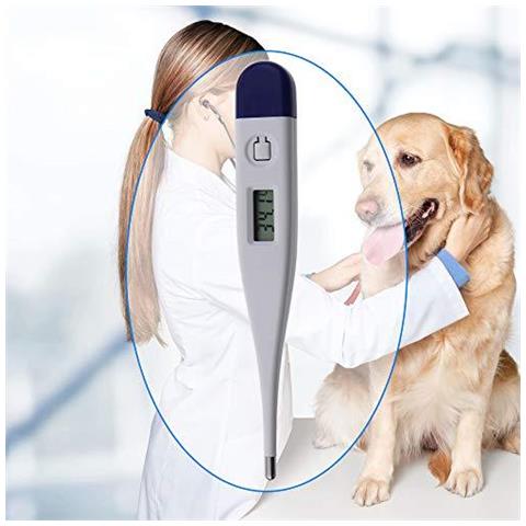 Digital Veterinari Termometro Per Single Di Cani Gatti Cavalli Animali Con Grafico Spec Free Veterinaria Hobday - Foto 2