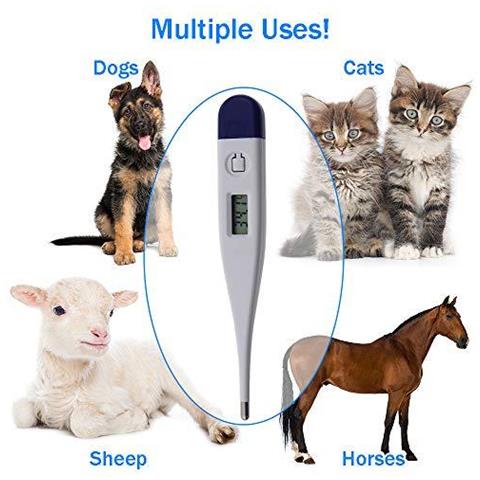 Digital Veterinari Termometro Per Single Di Cani Gatti Cavalli Animali Con Grafico Spec Free Veterinaria Hobday - Foto 4
