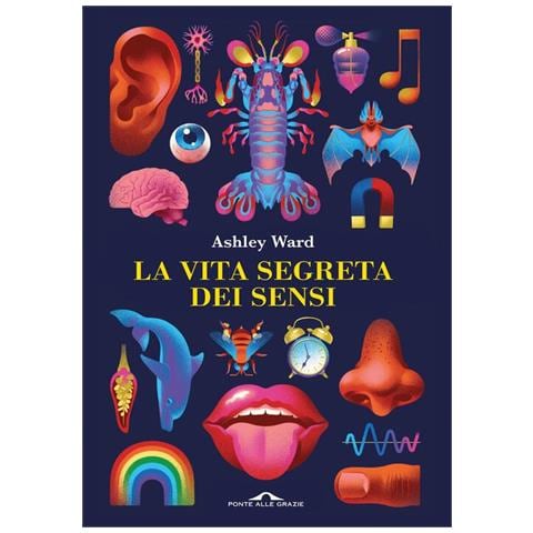 Ashley Ward - La vita segreta dei sensi - Foto 1