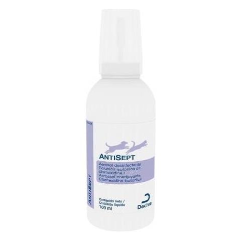 Antisept 100 Ml - Foto 1